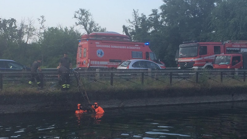 Capriolo nel Naviglio: il salvataggio dei vigili del fuoco