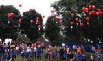 Il palloncino lanciato dai remigini arriva in Austria FOTO