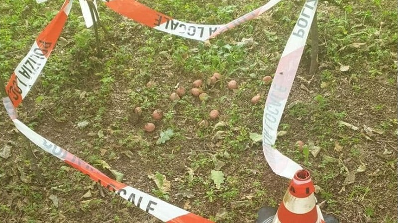 Allarme polpette avvelenate al Bosco in città