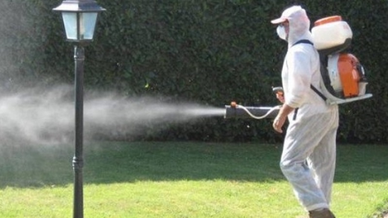 Caso di dengue, ecco cosa fare per prevenire il contagio