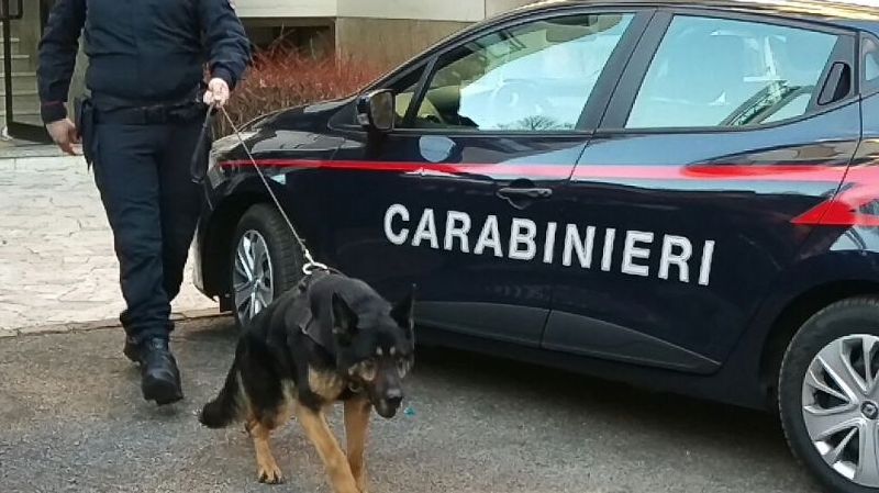 Autista di autobus arrestato con dosi di eroina e cocaina