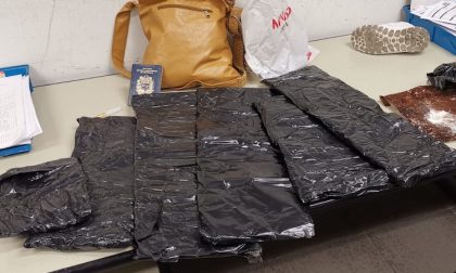 Nasconde cocaina in valigia e ricopre le buste di caffè: arrestata