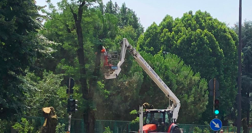 Abbattimenti in via della Resistenza, l’ex sindaco chiarisce i motivi