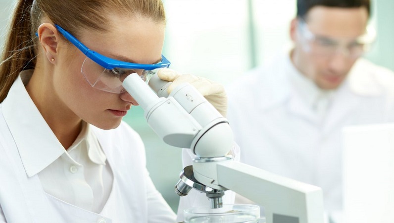 Scoperte da Humanitas nuove cellule attive contro il cancro