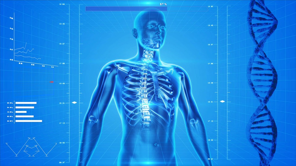Che cosa è l osteoporosi, nemico che indebolisce le ossa