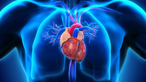 Medicina, nuova scoperta: dai farmaci per il diabete la cura per il grasso del cuore