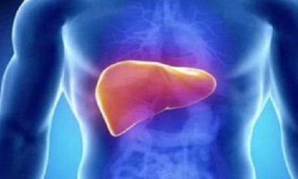Una ricerca di Humanitas scopre l'origine del fegato grasso nell'intestino