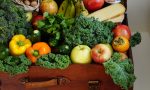 Depurare l organismo con acqua, frutta e verdura