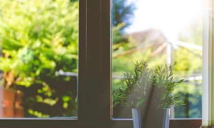 Aria pulita in casa con una pianta per locale