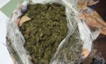 Nasconde tre chili di marijuana nel cestino della bici: arrestato