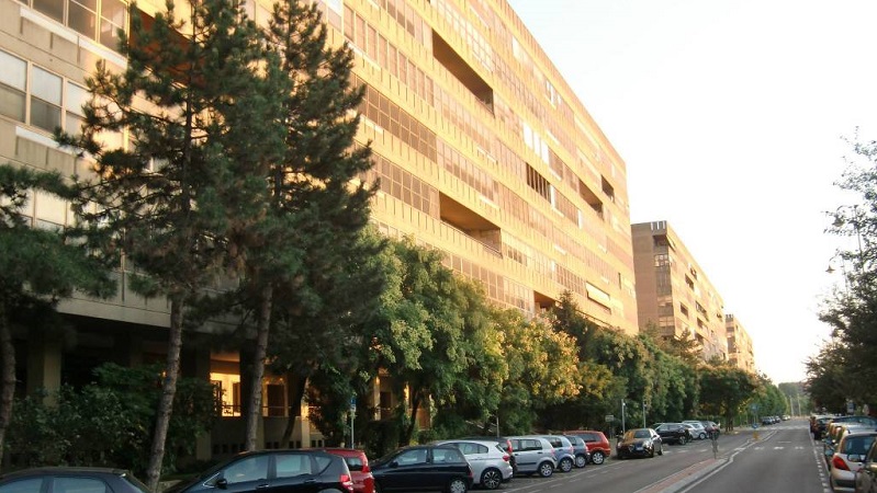 Alberi bucati, al via i controlli sul territorio