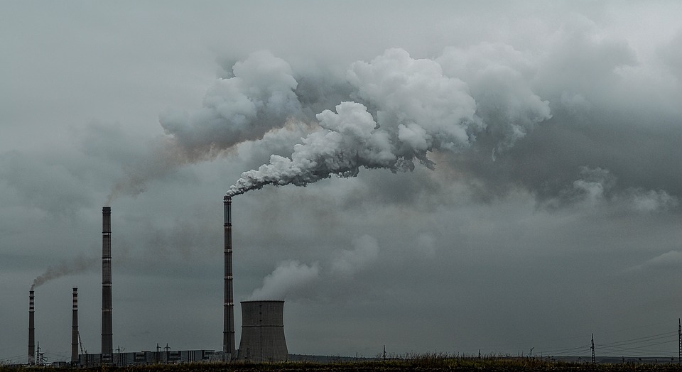 Allarme smog, polmoni sempre più a rischio