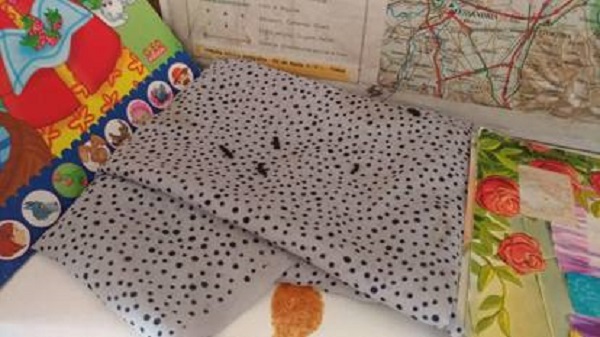 Topi a scuola, i genitori protestano ma l’istituto rimane aperto