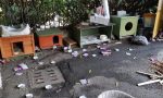 Vandali in azione devastano la colonia felina