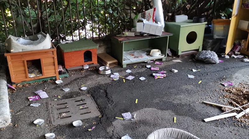 Vandali in azione devastano la colonia felina