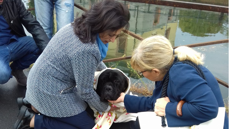 Cane finisce nel Naviglio, un ragazzo si getta in acqua e lo salva