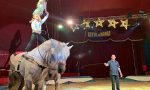 Circo in città, scoppia la polemica tra gli animalisti