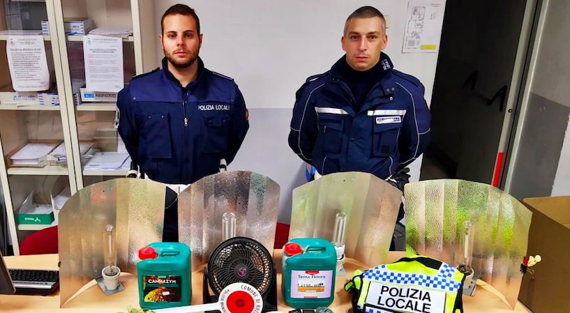 Cinque piante di cannabis coltivate in casa: beccato dalla polizia locale