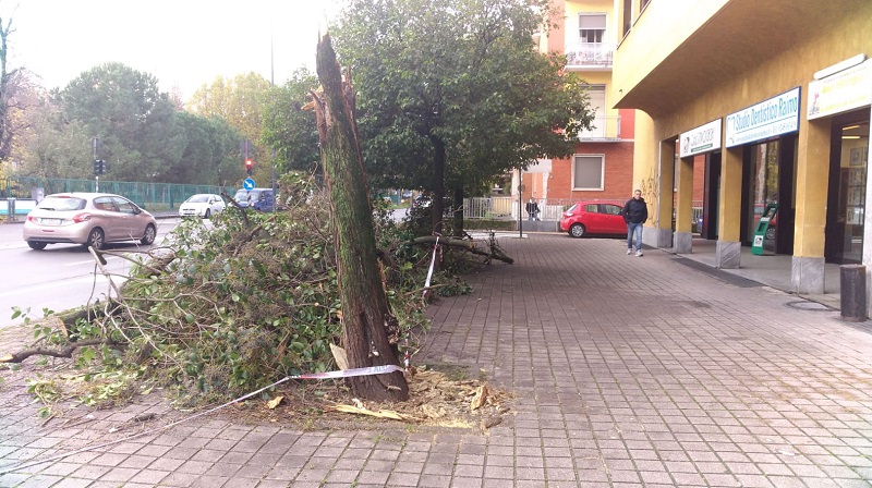 Maltempo: piogge intense e raffiche di vento provocano danni FOTO