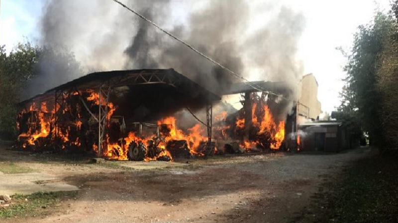Appicca fuoco alla stalla: “vendetta dopo delusione amorosa”, arrestata donna di 50 anni