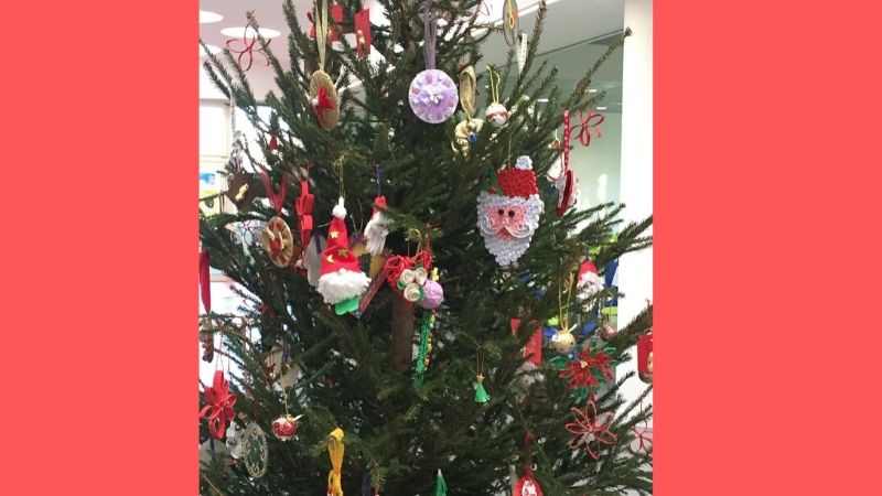 All’Istituto Margherita Hack un albero di Natale europeo FOTO