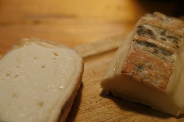 Come preparare le tartine con taleggio