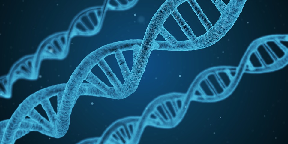 La ricerca medica consente l’aumento dell’aspettativa di vita