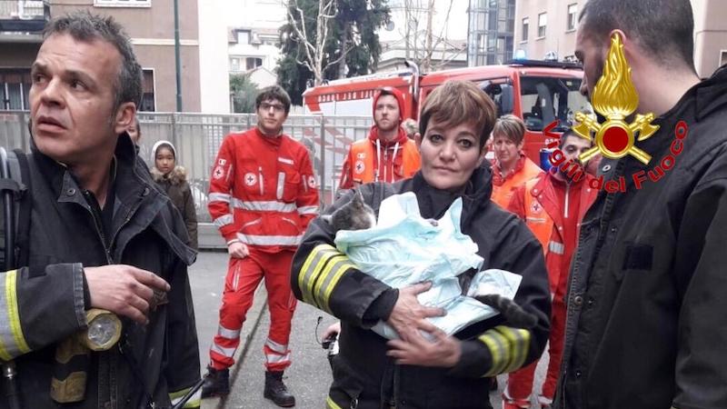 Pompieri salvano gatto privo di conoscenza dopo un incendio in casa FOTO e VIDEO