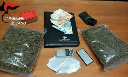 In casa nasconde un chilo di marijuana: arrestato dai carabinieri