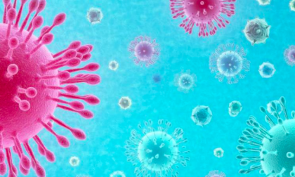 Primi due casi accertati di Coronavirus in Italia