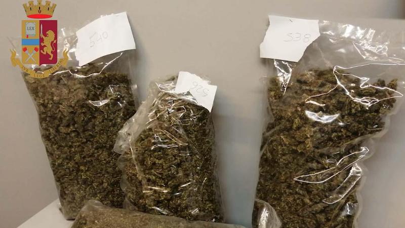 Sorvegliato speciale con mezzo chilo di marijuana in casa: arrestato