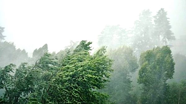 Nuova allerta della Protezione Civile per vento forte domani