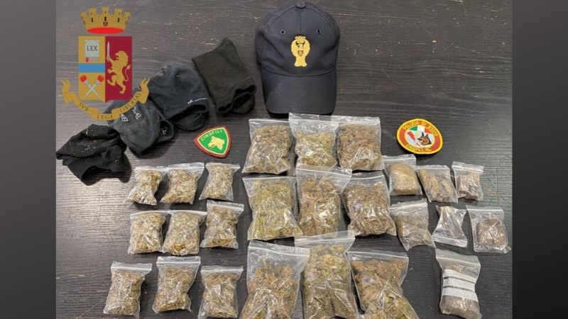 Droga nascosta al parco: la trovano i cani poliziotto Labor e Wotan