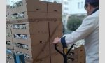 Scuole chiuse, Milano Ristorazione dona ai bisognosi 3 tonnellate di cibo