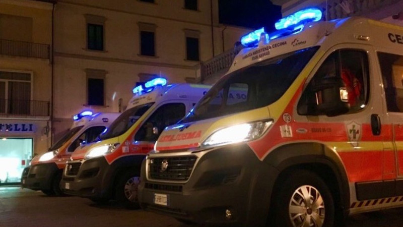 Rissa per i cani: ragazzo tira fuori un bastone, picchia tutti e poi scappa