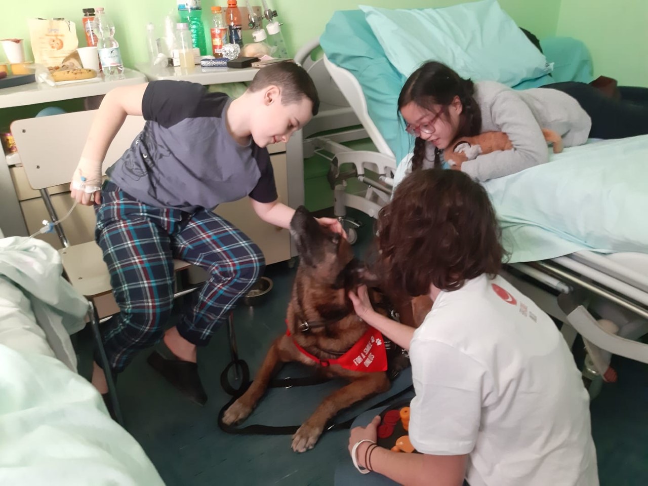 Cani in ospedale