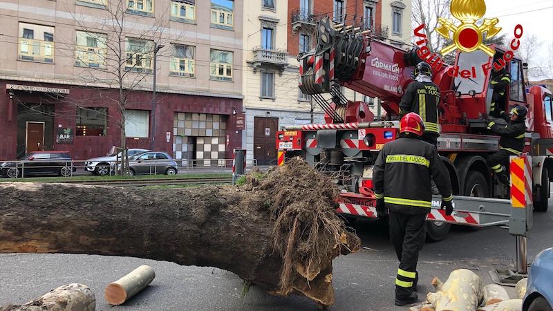 Raffiche di vento, cade grosso albero su una macchina: strada chiusa per due ore FOTO