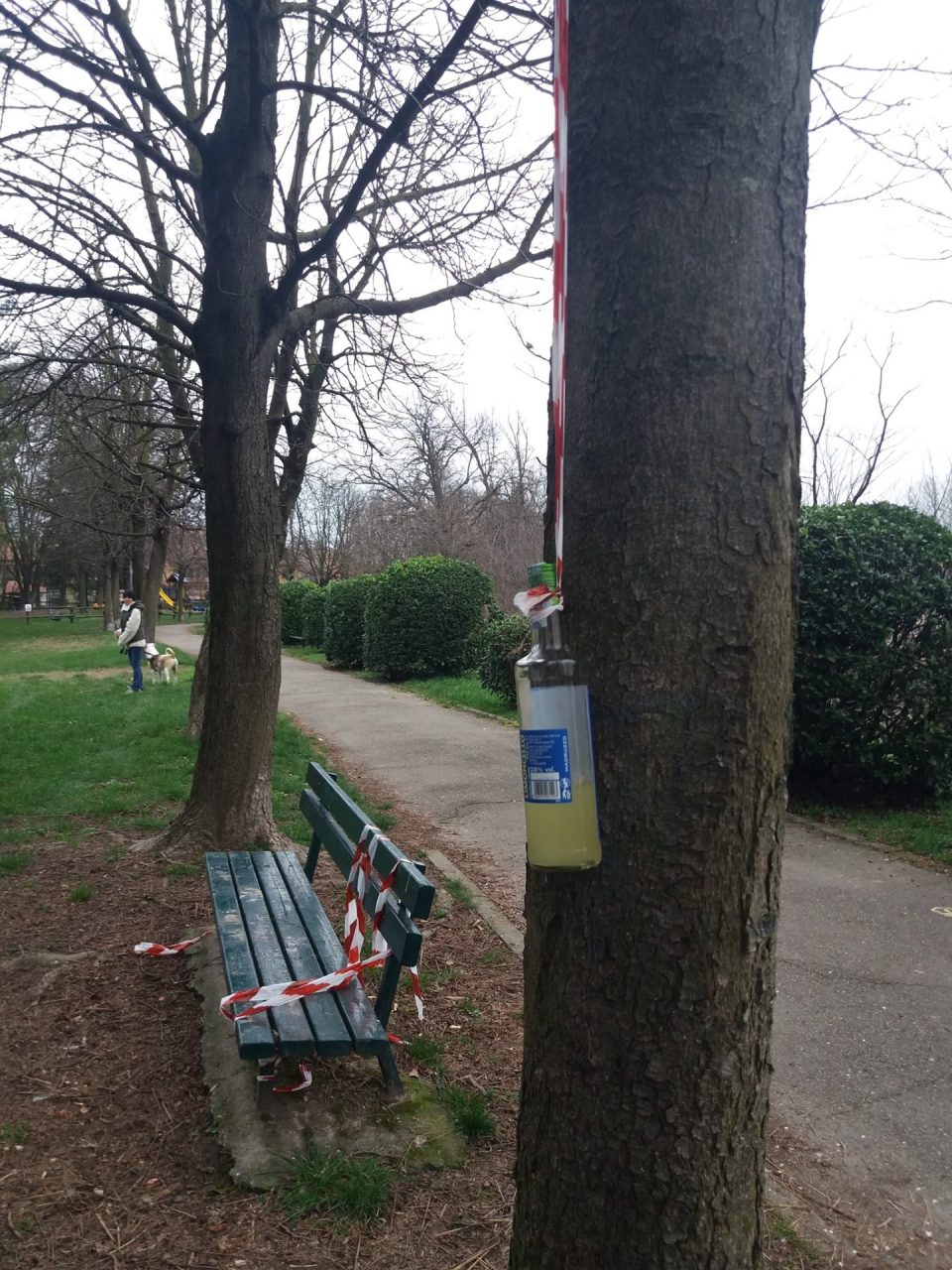 vandalismi parco baronella