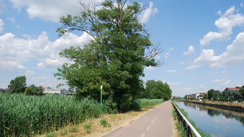 Consorzio Villoresi, chiuse le alzaie del Naviglio: “Per evitare sconsiderati assembramenti”