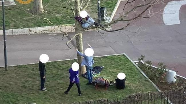 In gruppo al parco: denunciati cinque ragazzi ventenni