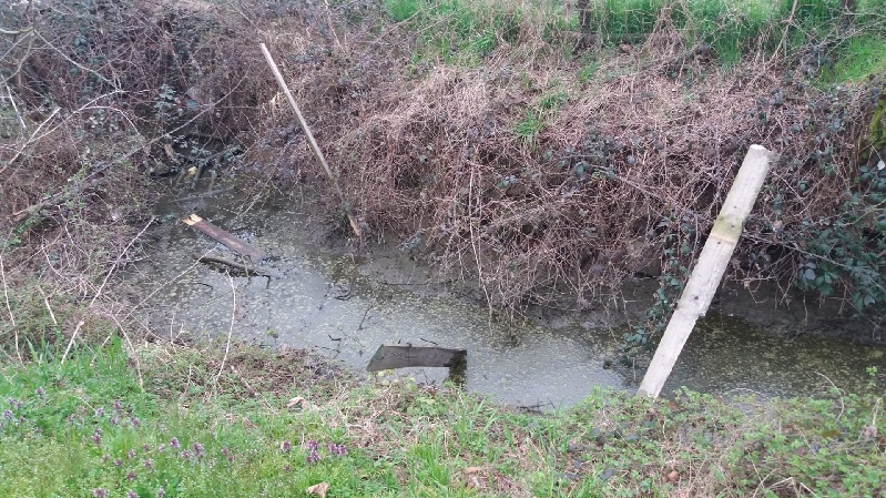 Il sindaco sui vandalismi al parco: “Incivili, siete il peggio della nostra comunità”