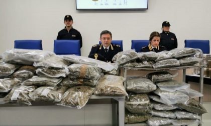 Oltre 5 chili di marijuana nascosti in casa e in macchina: arrestato ultrà del Milan