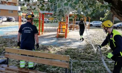 Danno fuoco ai pollini: incendio nell'area giochi dei bambini FOTO