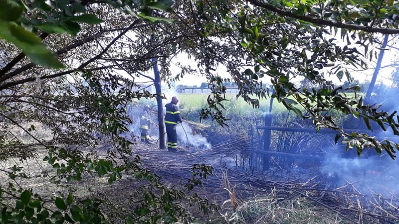Incendio ai pollini, distrutto il rifugio delle gallinelle d’acqua e il canneto.