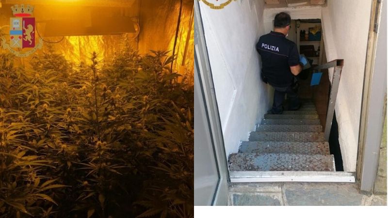 Undici piantine di marijuana nascoste nel sottoscala e uno scooter rubato: due denunce