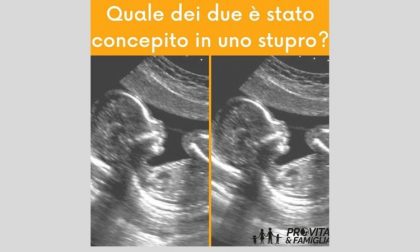 Polemiche su post ProVita, foto di due feti: "Quale è nato da uno stupro?"