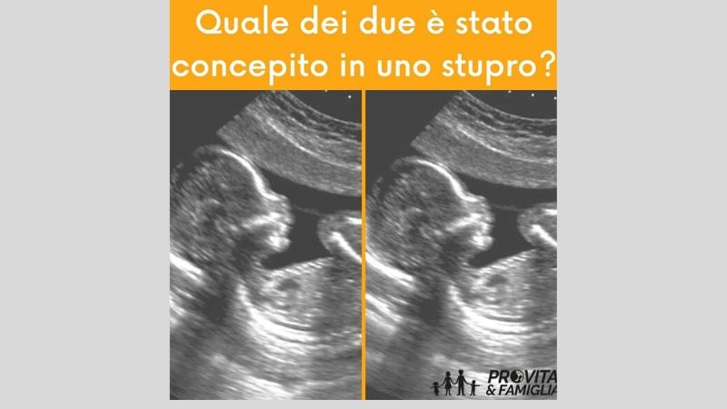 Polemiche su post ProVita, foto di due feti: “Quale è nato da uno stupro?”