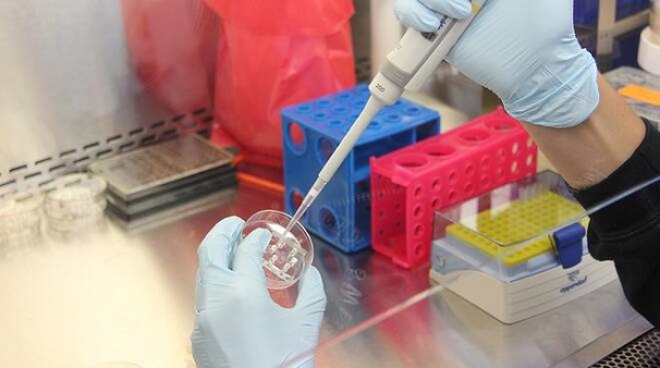 Coronavirus, chi sono i«debolmente positivi» e perché non c’è motivo di preoccuparsi
