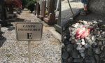 Macabro ritrovamento al cimitero: testicoli di toro su una tomba