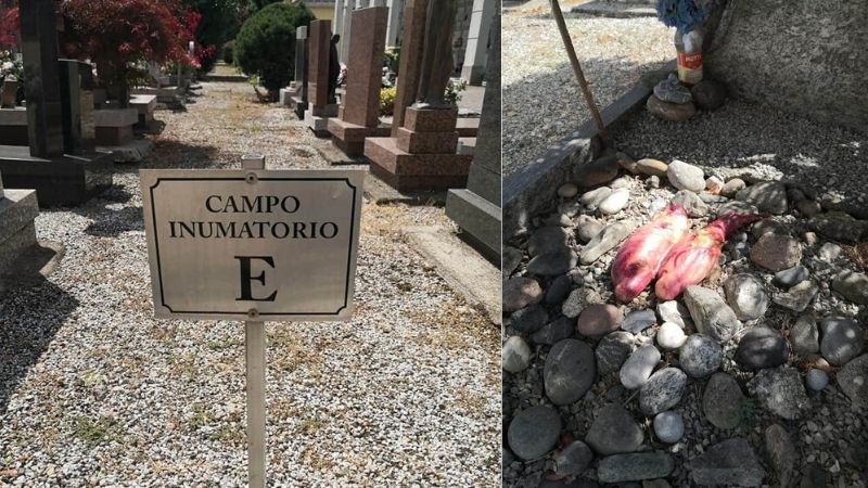 Macabro ritrovamento al cimitero: testicoli di toro su una tomba